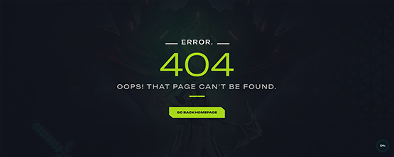 Error Page